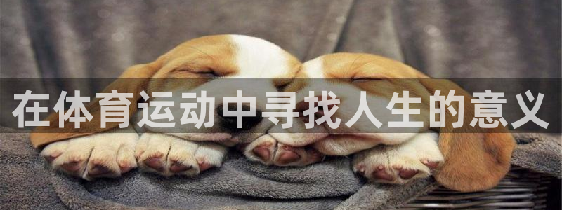 MK体育官方正版app神州：在体育运动中寻找人生的意义