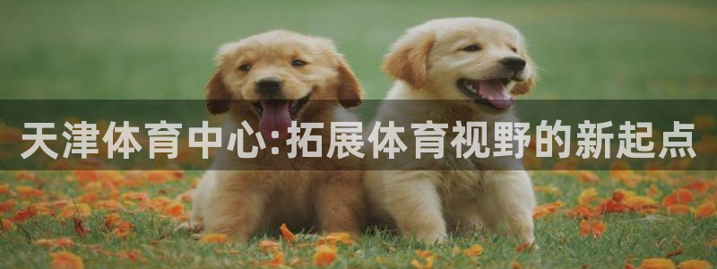 MK体育官网下载平台注册流程图：天津体育中心:拓展体