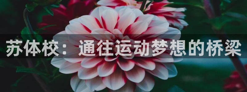 MK体育官网下载招商：苏体校：通往运动梦想的桥梁