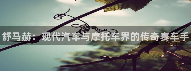 MK体育官方正版app科技：舒马赫：现代汽车与摩托车