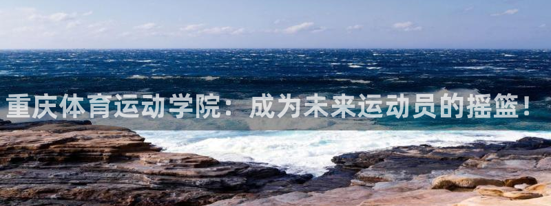 MK体育官网下载是干嘛的公司