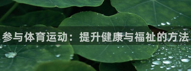 MK体育官方正版app开户