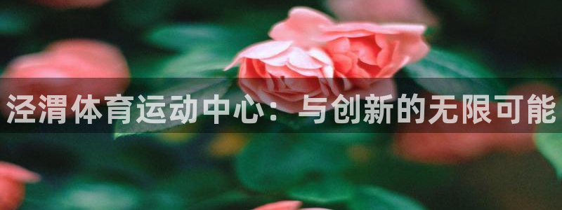 MK体育官方正版app娱乐下载：泾渭体育运动中心：与创新的无