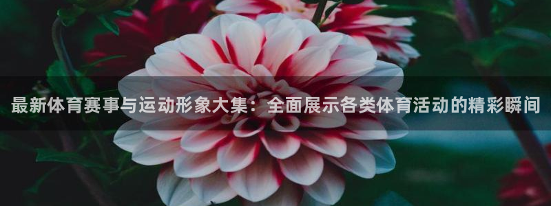MK体育官网下载招商电话号码是多少号：最新体育赛事与