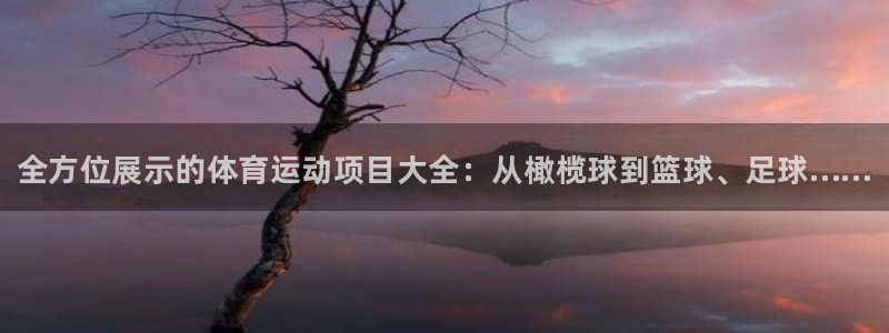 MK体育官方正版app集团官网首页网址：全方位展示的体育运动