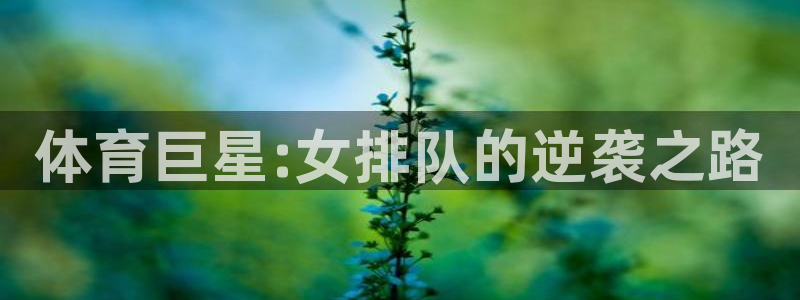 MK体育官网下载招商电话号码是多少号：体育巨星:女排