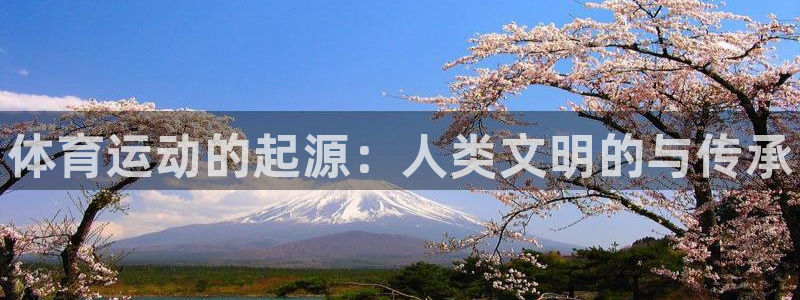 MK体育官网下载招商电话号码查询是多少：体育运动的起源：人类