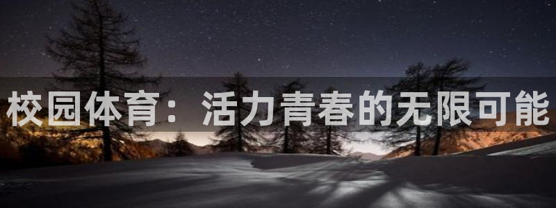 MK体育官网下载是干嘛的公司：校园体育：活力青春的无限可能