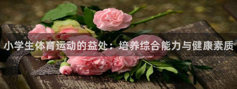 MK体育官方正版app集团logo：小学生体育运动的益处：培