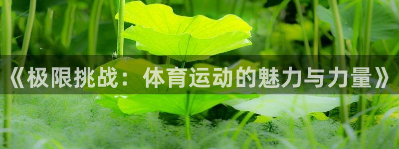 MK体育官网下载招商电话是多少啊：《极限挑战：体育运动的魅力