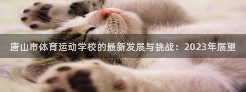 MK体育官网下载招商电话号码是多少：唐山市体育运动学