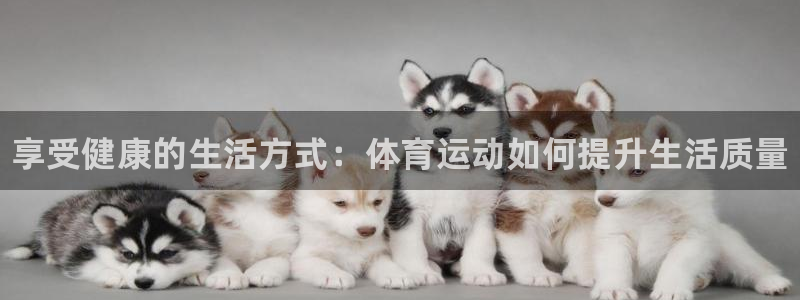 MK体育官方正版app娱乐