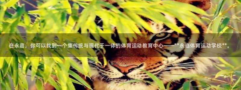 MK体育官方正版app娱乐平台