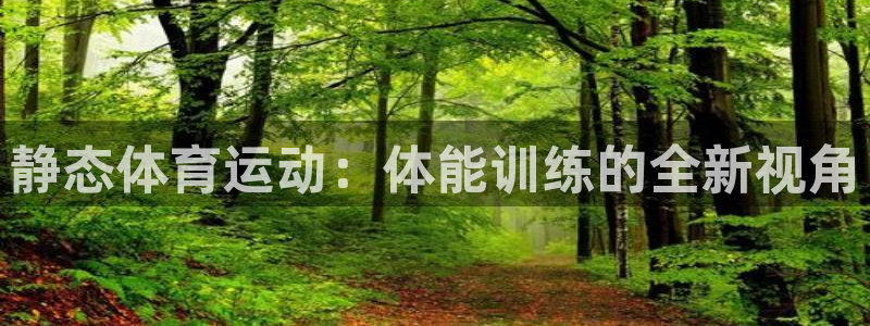 MK体育官方正版app娱乐首页网站大全：静态体育运动：体能训