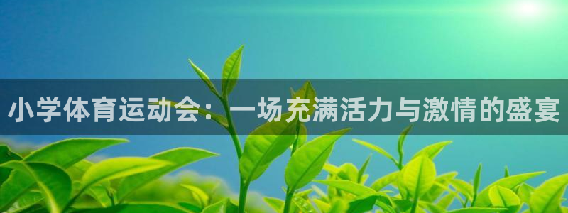 MK体育官方正版app集团logo：小学体育运动会：一场充满