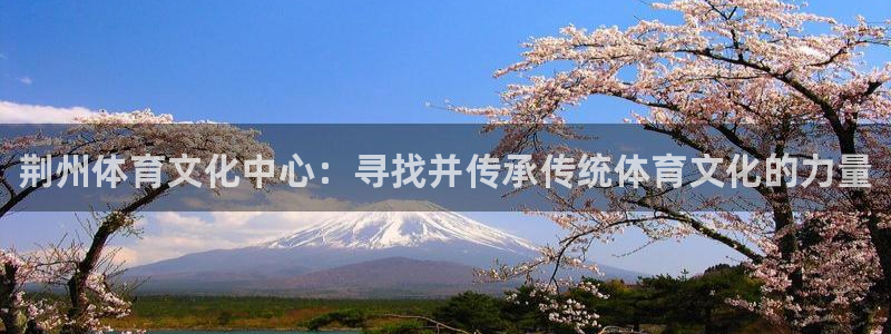 MK体育官网下载招商电话号码是多少啊：荆州体育文化中心：寻找