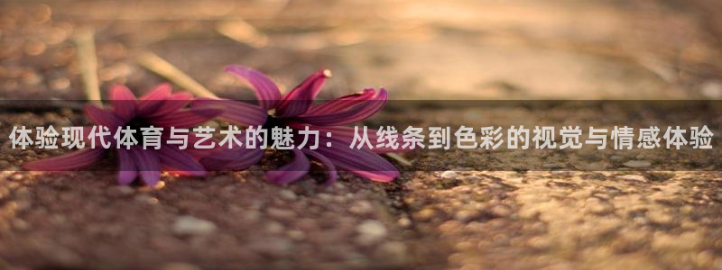 MK体育官方正版app开户：体验现代体育与艺术的魅力：从线条