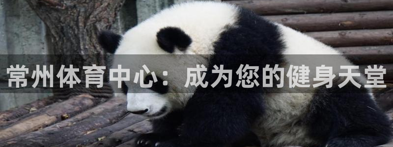 MK体育官网下载娱乐：常州体育中心：成为您的健身天堂