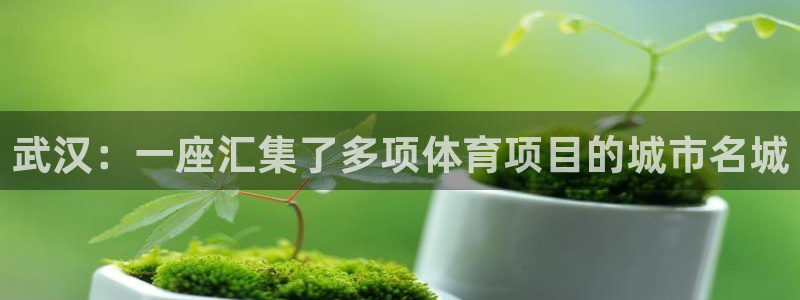 海南MK体育官网下载