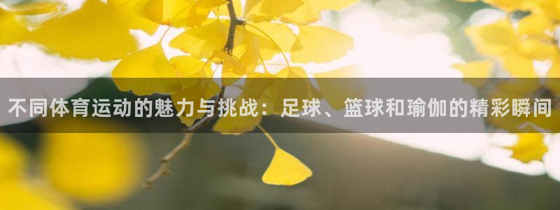 MK体育官网下载招商电话是多少：不同体育运动的魅力与