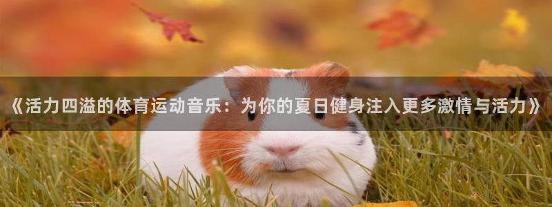 MK体育官方正版app娱乐首页官网下载