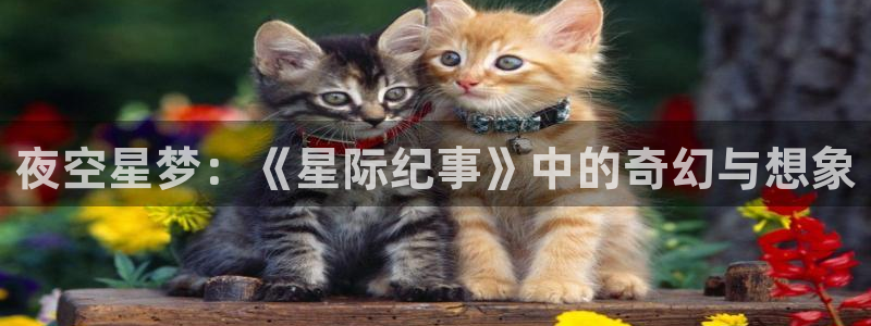 搜球体育官网：夜空星梦：《星际纪事》中的奇幻与想象