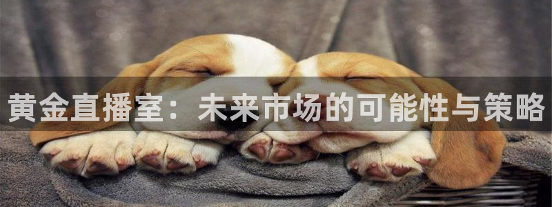 搜球体育：黄金直播室：未来市场的可能性与策略