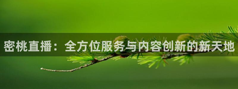 搜球吧 直播：密桃直播：全方位服务与内容创新的新天地