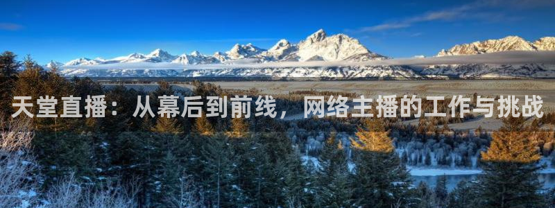搜球直播：天堂直播：从幕后到前线，网络主播的工作与挑战