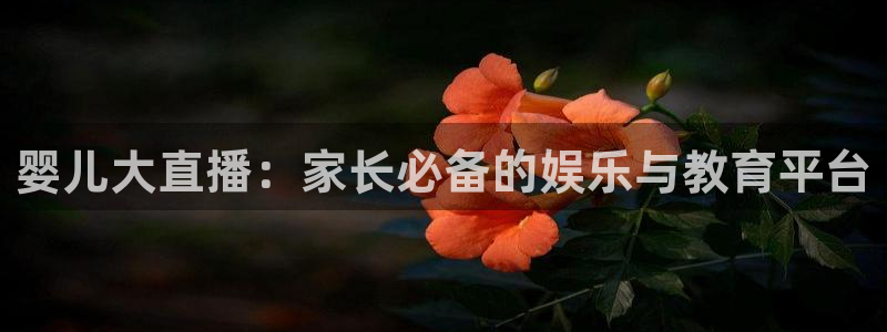 搜球吧在线直播nba：婴儿大直播：家长必备的娱乐与教育平台