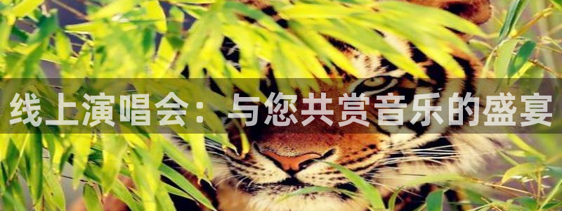 搜球吧手机直播nba直播：线上演唱会：与您共赏音乐的盛宴